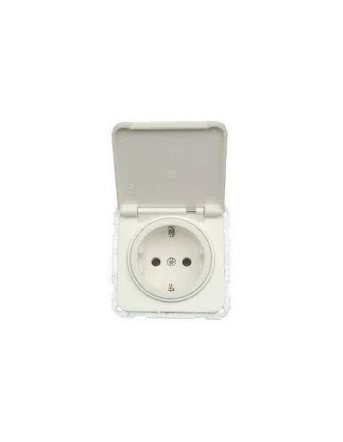Розетка с заземлением и крышкой Hager Regina IP30 белая 13001304